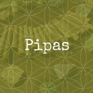 Pipas