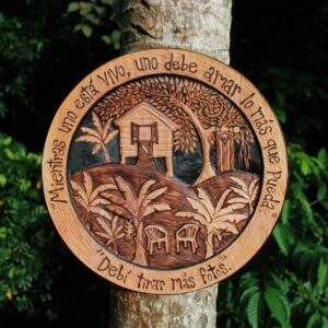Placa: AmaR lO máS que puEda